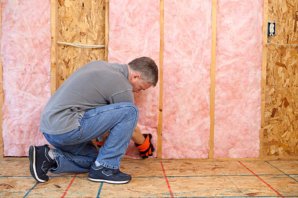 Best Insulation Inspection Services  in Bedford, TX